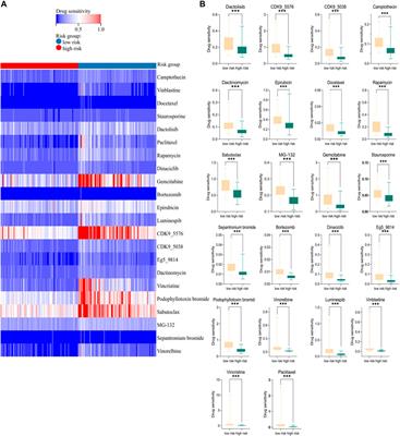 A hypoxia-related genes prognostic risk model, and mechanisms of hypoxia contributing to poor prognosis through immune microenvironment and drug resistance in acute myeloid leukemia
